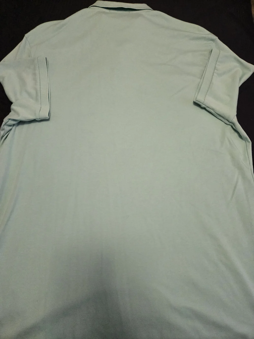 Polo by Ralph Lauren Men's Mint Green Classic Piqué Polo Shirt Size L
